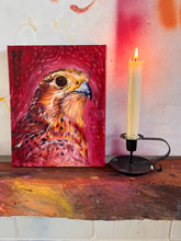 'Prarie Falcon' - Oil Painting