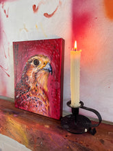 'Prarie Falcon' - Oil Painting