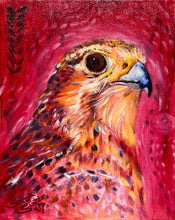 'Prarie Falcon' - Oil Painting