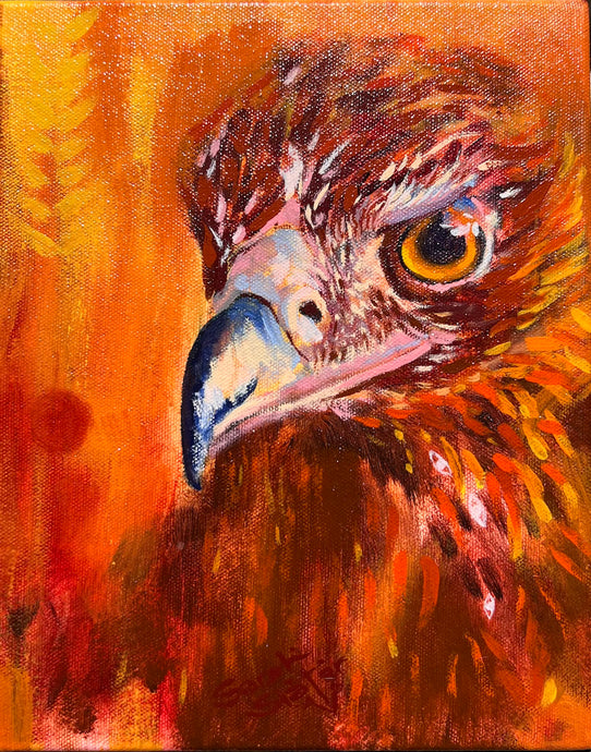 'Wedge Tail Eagle' - Oil Painting