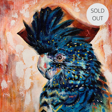 “Pirate Adira”- Original Painting AUD$187