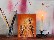 'Whistling Kite' - Oil Painting
