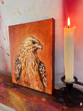'Whistling Kite' - Oil Painting