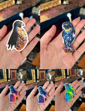 All 3 bird sticker pack!