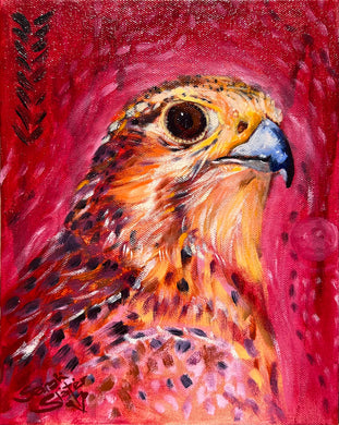 'Prarie Falcon' - Oil Painting