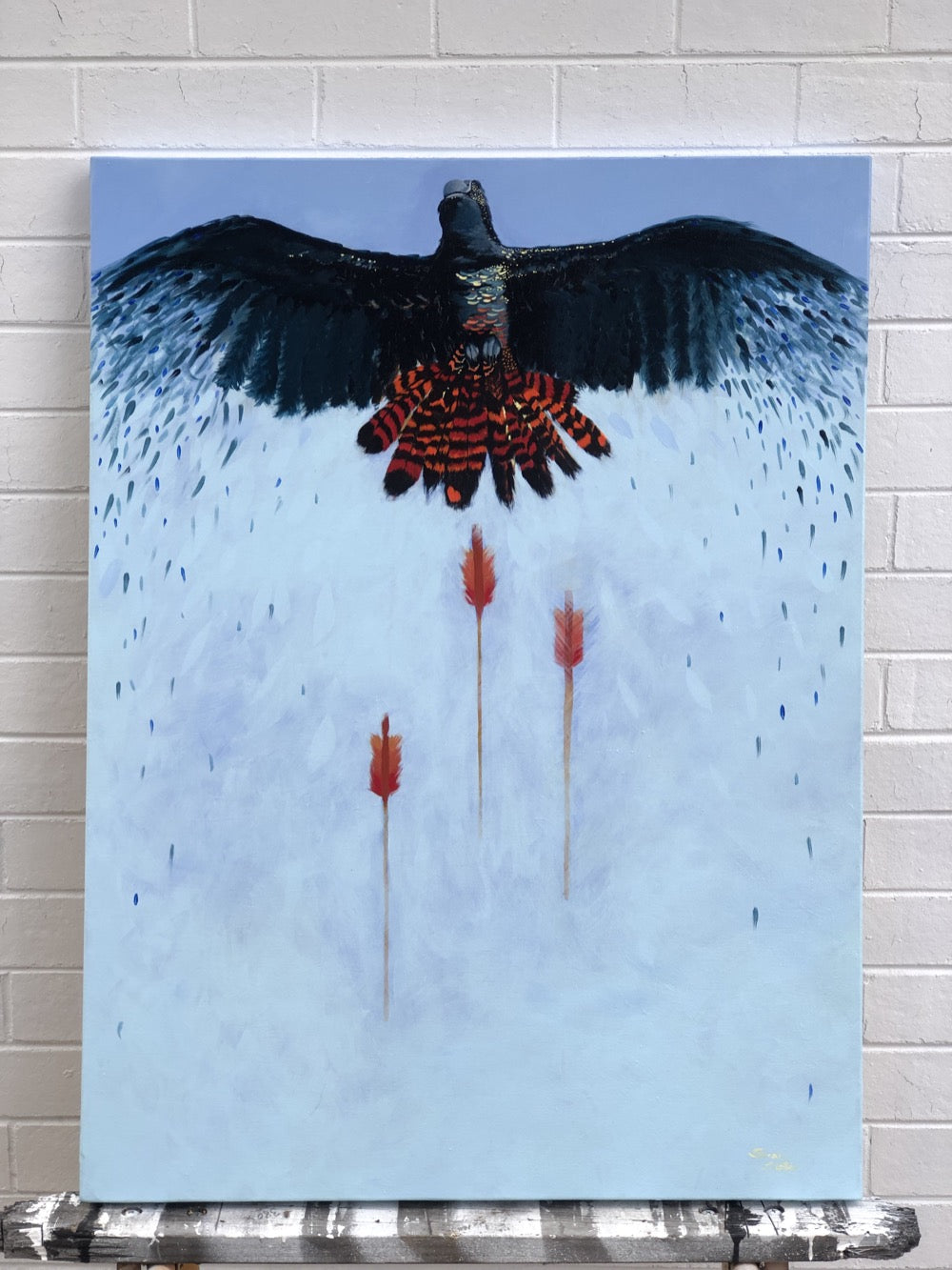 red tailed black cockatoo art painting artist Australian feathers fly rain dance