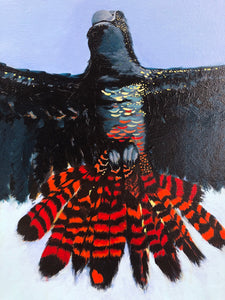 red-tailed black cockatoo south west forest art painting artist 